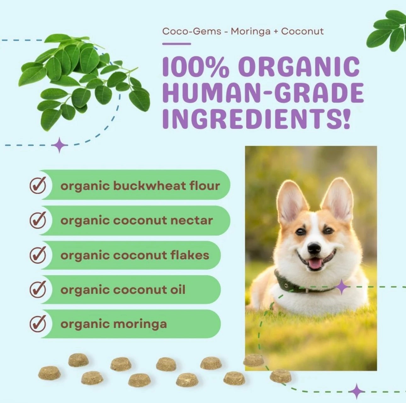 Coco-Gems Training Treats Moringa + Coconut - Organic Training Treat for dogs
