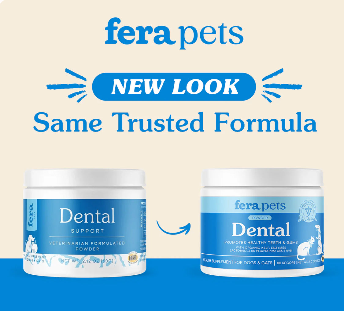 Dental Support