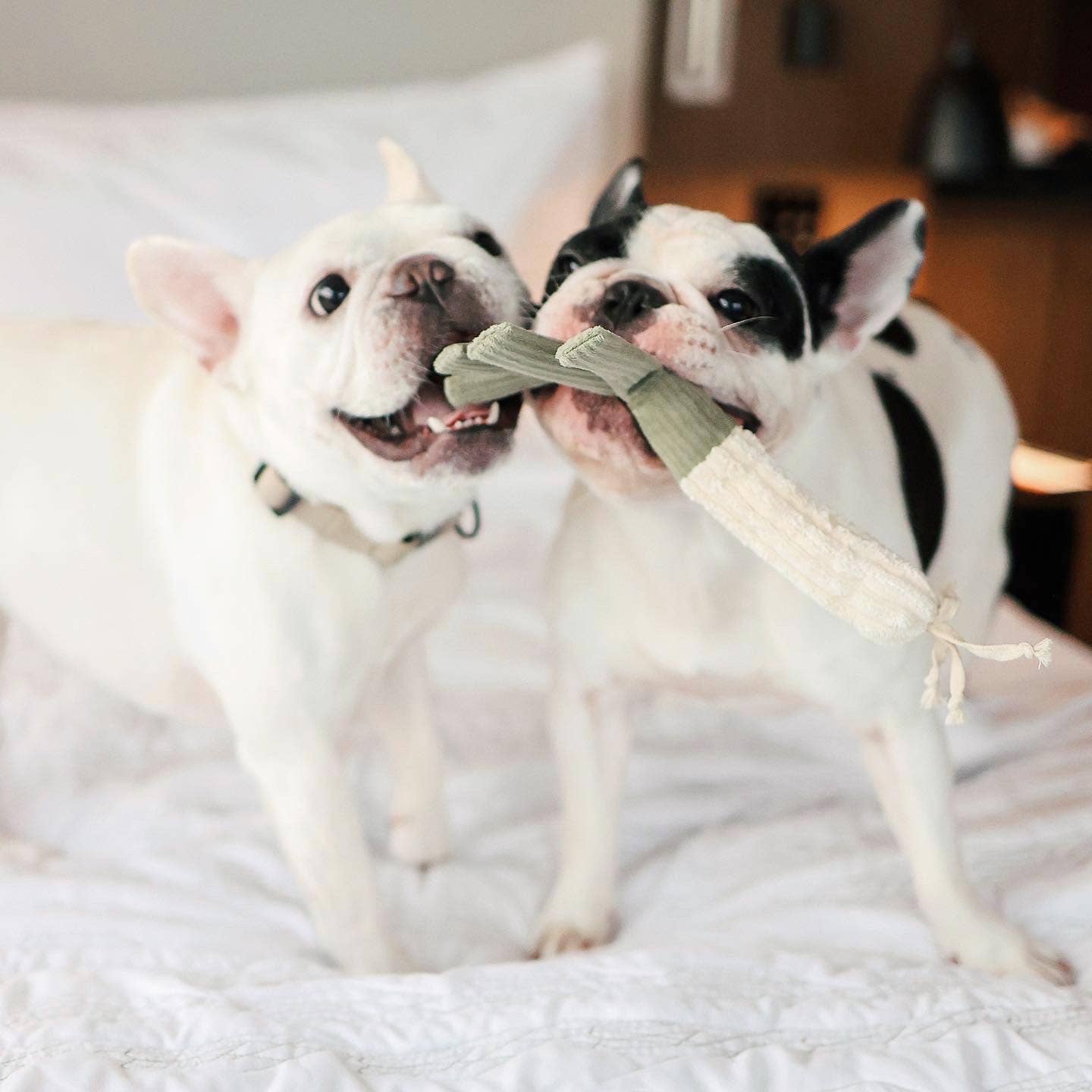 FARMER'S MARKET SET // ENRICHMENT TOY SET// SNUFFLE TOY