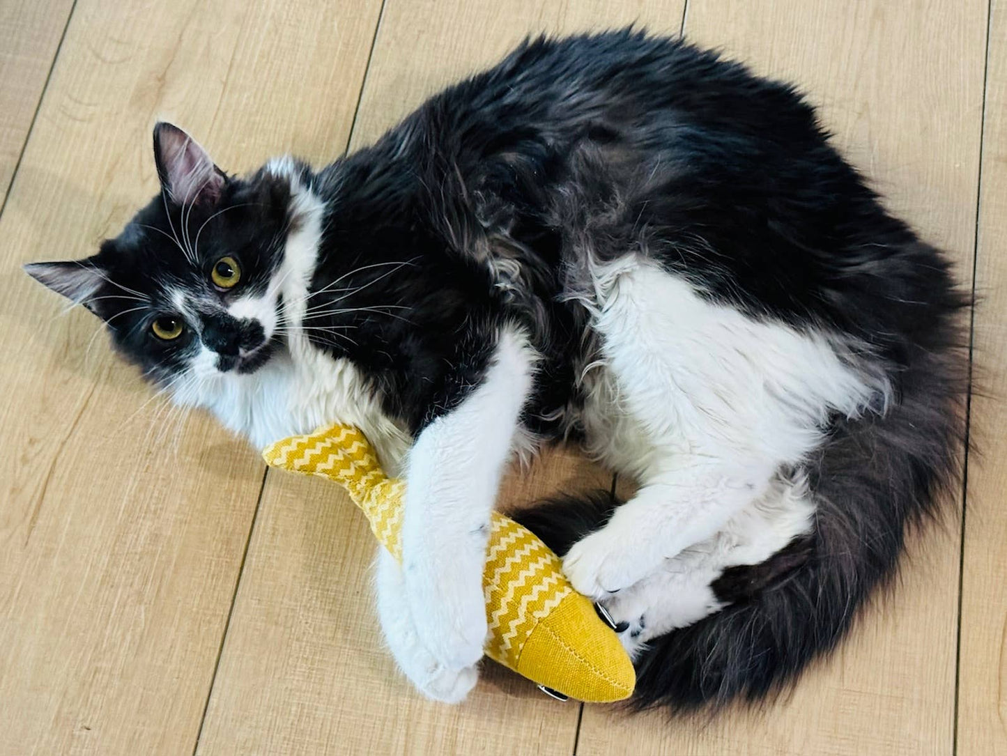 Gone Fishin' Fish Catnip Kicker Cat Toy