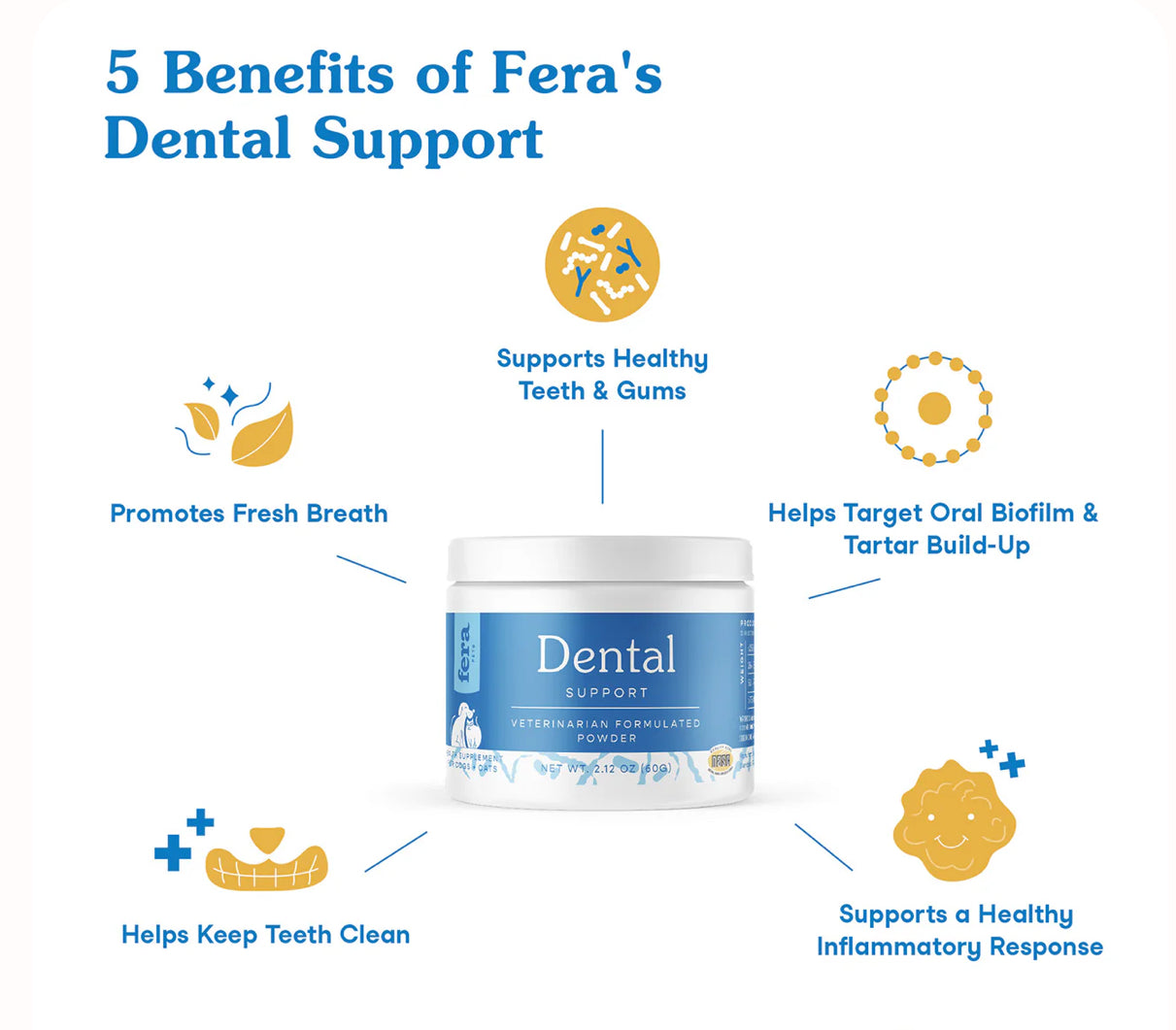 Dental Support