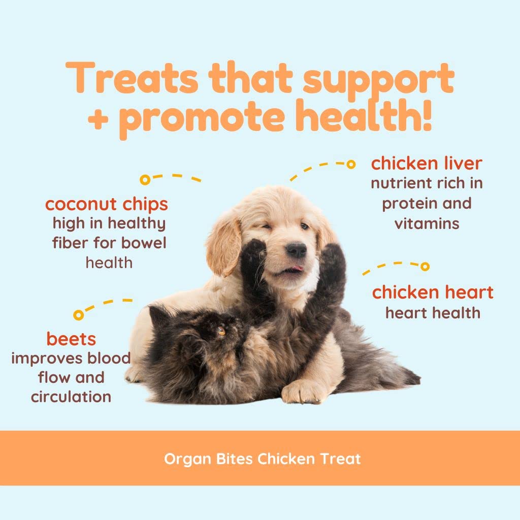 CocoTherapy Organ Bites! Dog and Cat Treat (Pork + Apple), 3 Oz.