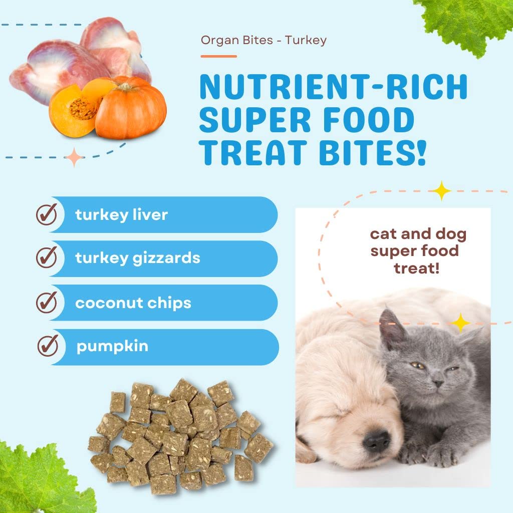 CocoTherapy Organ Bites! Dog and Cat Treat (Pork + Apple), 3 Oz.