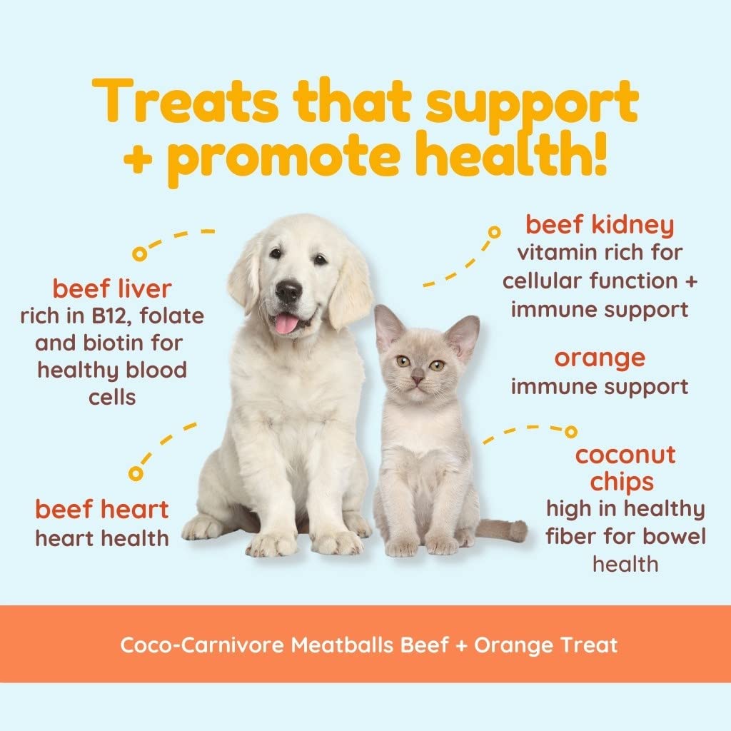 CocoTherapy Coco-Carnivore Meatballs 2.5 oz. (Turkey)