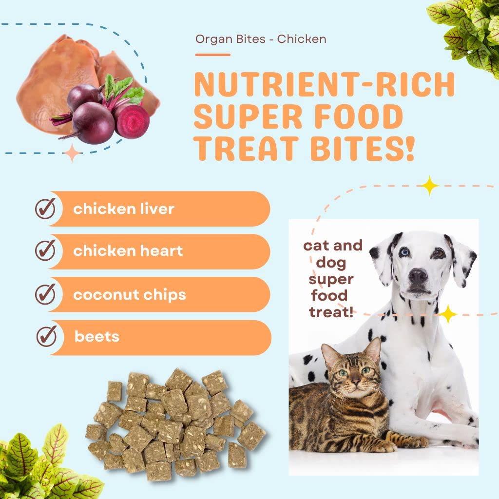 CocoTherapy Organ Bites! Dog and Cat Treat (Pork + Apple), 3 Oz.