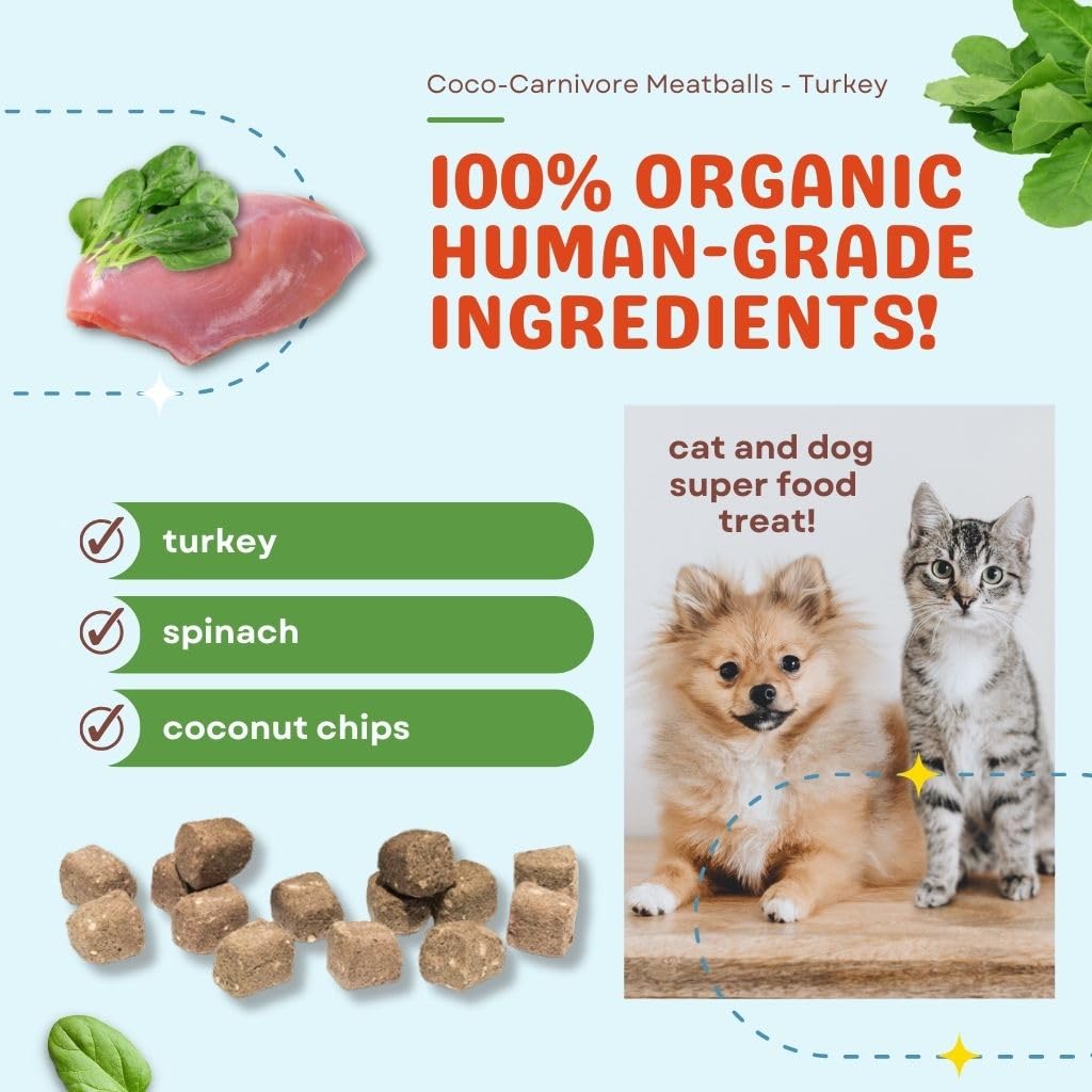 CocoTherapy Coco-Carnivore Meatballs 2.5 oz. (Turkey)