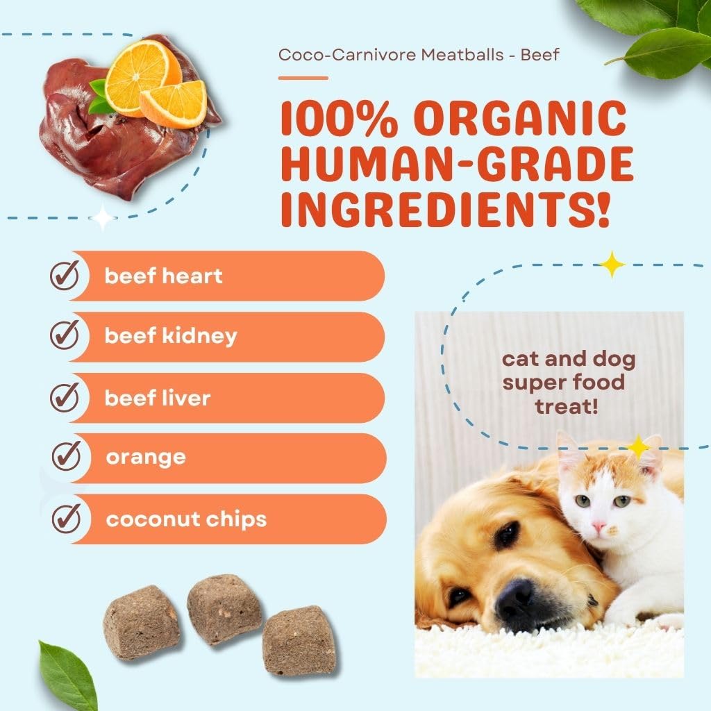 CocoTherapy Coco-Carnivore Meatballs 2.5 oz. (Turkey)