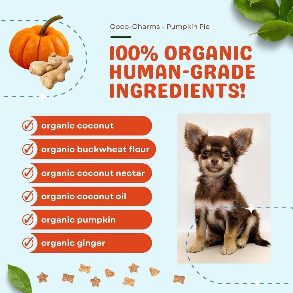 Cocotherapy Coco-Charms Training Treats – Pumpkin Pie, (1 Pouch), 5 Oz.