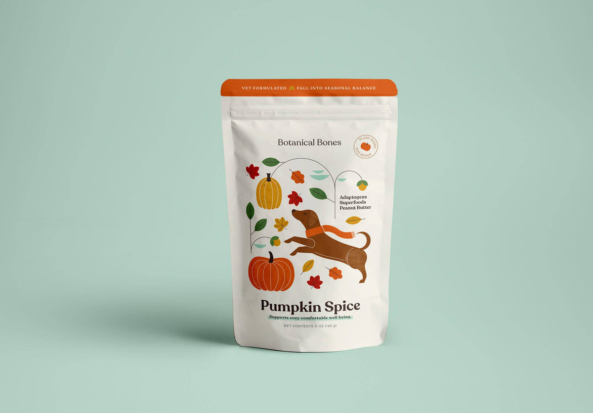 Pumpkin Spice Dog Treats 🎃 Fall, Autumn, Halloween