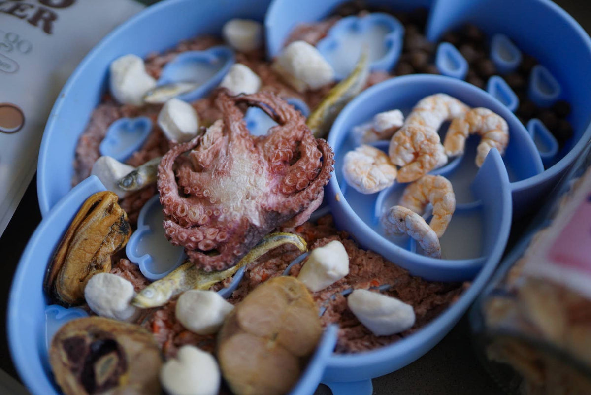 Freeze-Dried Scallop | 1.5 oz