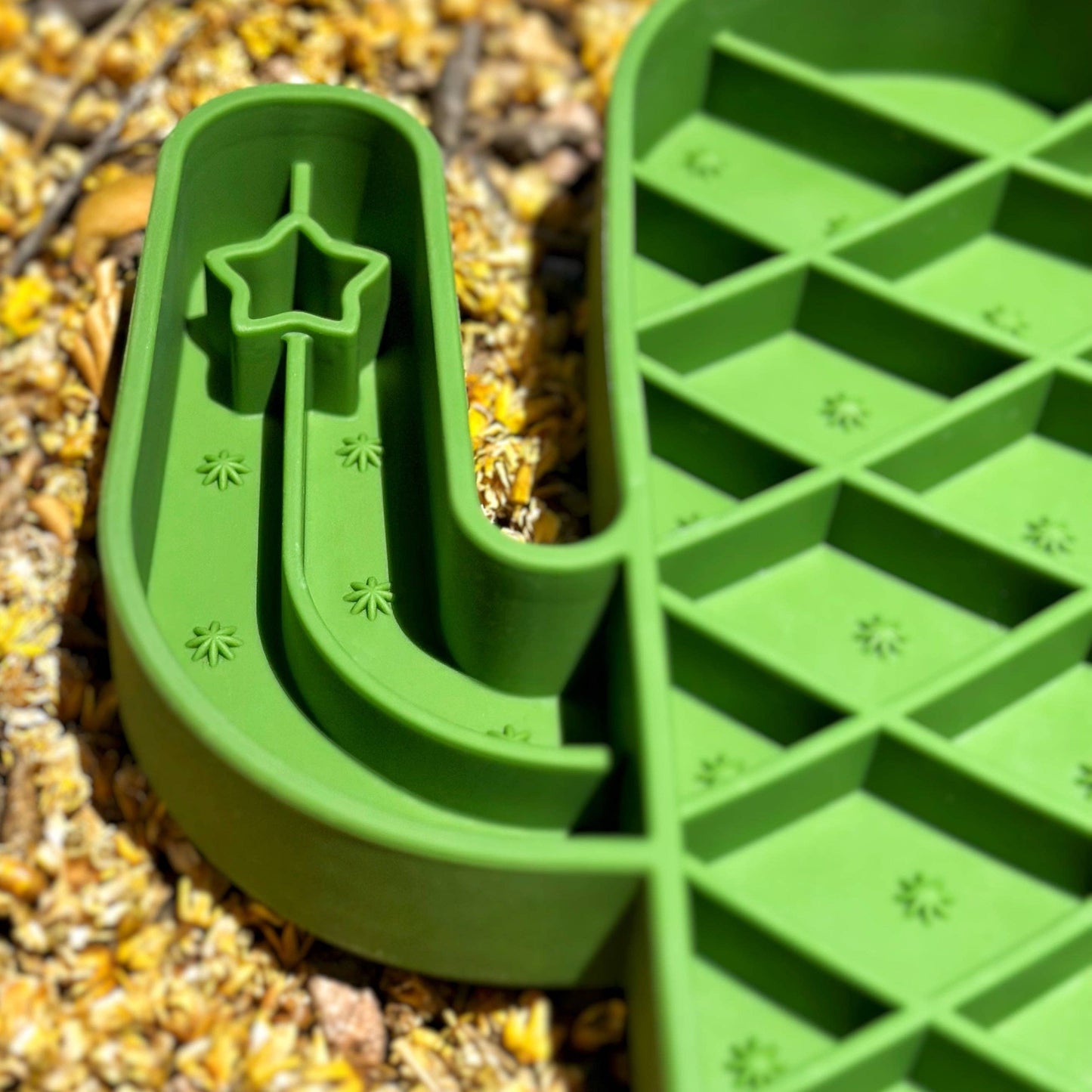 Cactus feeder charcuterie