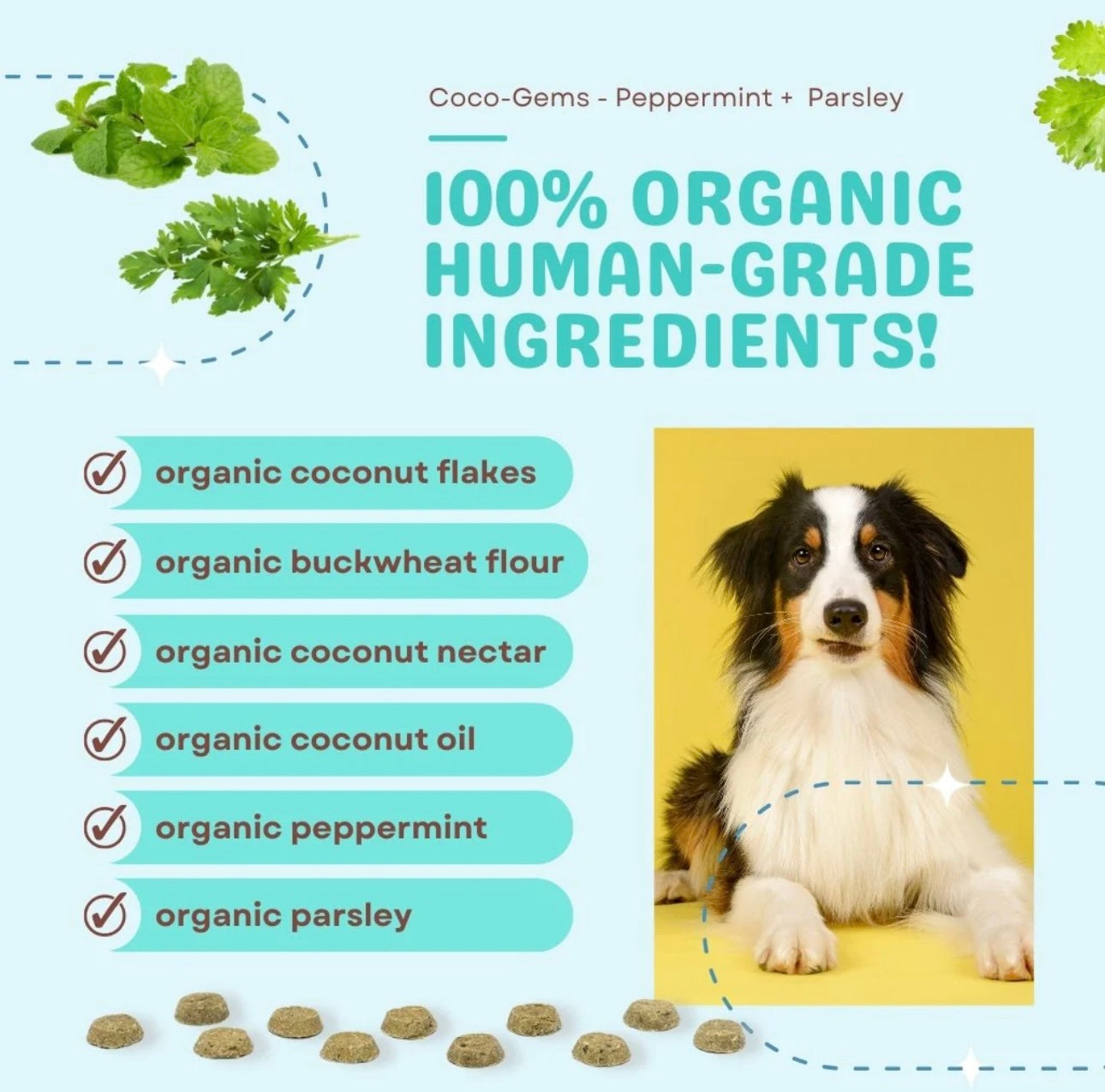 Coco-Gems Training Treats Peppermint + Coconut - Organic Training Treat for dogs