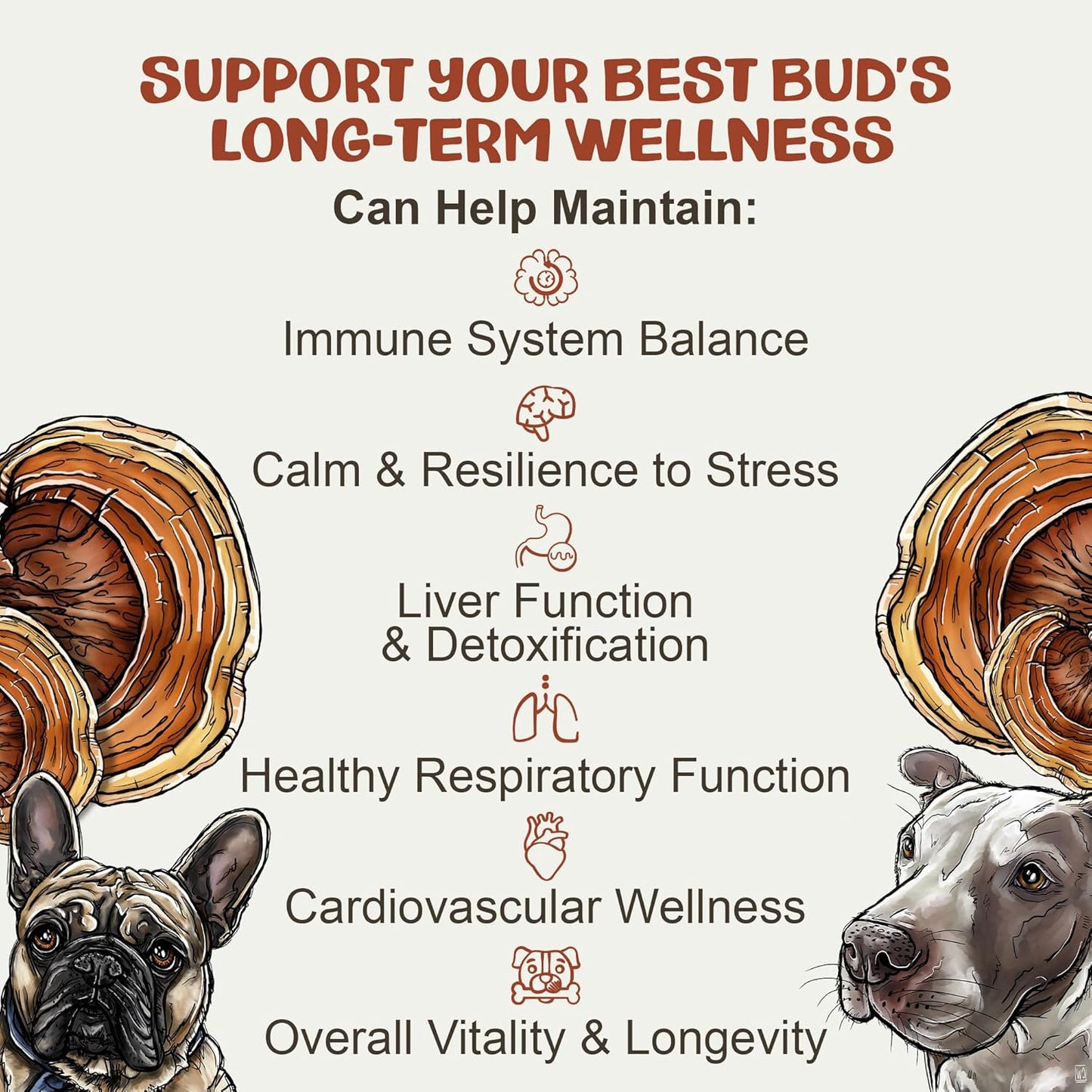 Reishi Tincture: Double-Extracted Reishi Mushroom for Dogs - Immune Defenses, Liver Detox, Longevity, Mood, & Well-Being - Calming Drops for Dogs Extracted Strictly from Fruiting Bodies