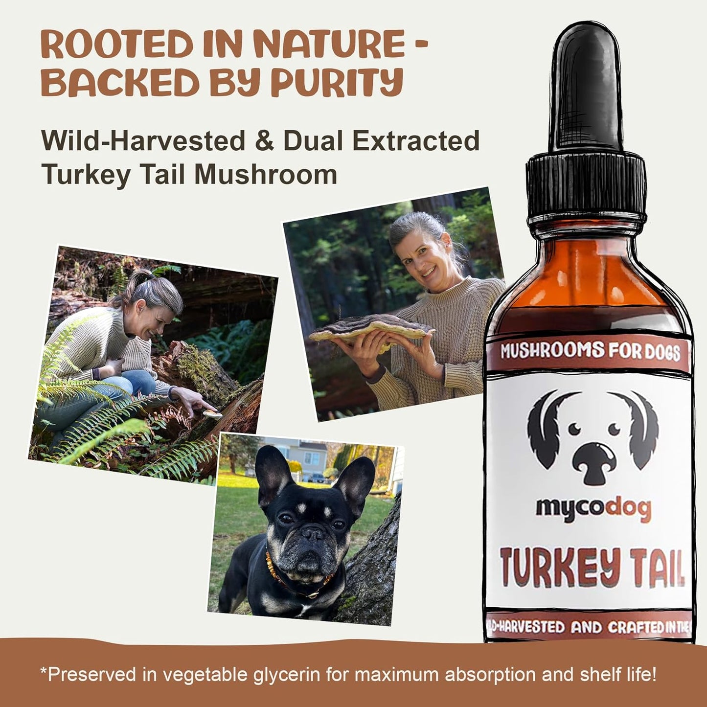 Turkey Tail Mushroom for Dogs: Dual-Extracted Dog Immune Support Tincture for Defenses, Liver & Kidney, Cognition, Cardio, Detox, & Reproduction - Strictly Extracted from Fruiting Bodies