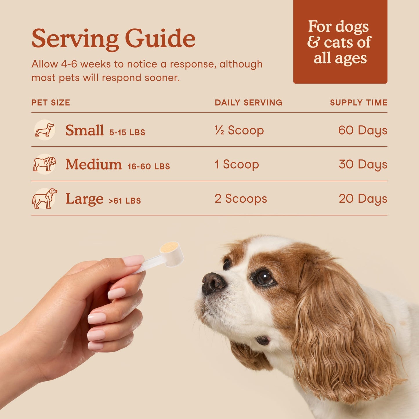 Fera Pet Organics Probiotics for Dogs & Cats - Vet Created - Cat & Dog Probiotic Supplement - 12 Strains & Prebiotics for Pet’s Digestion - 60 Scoops