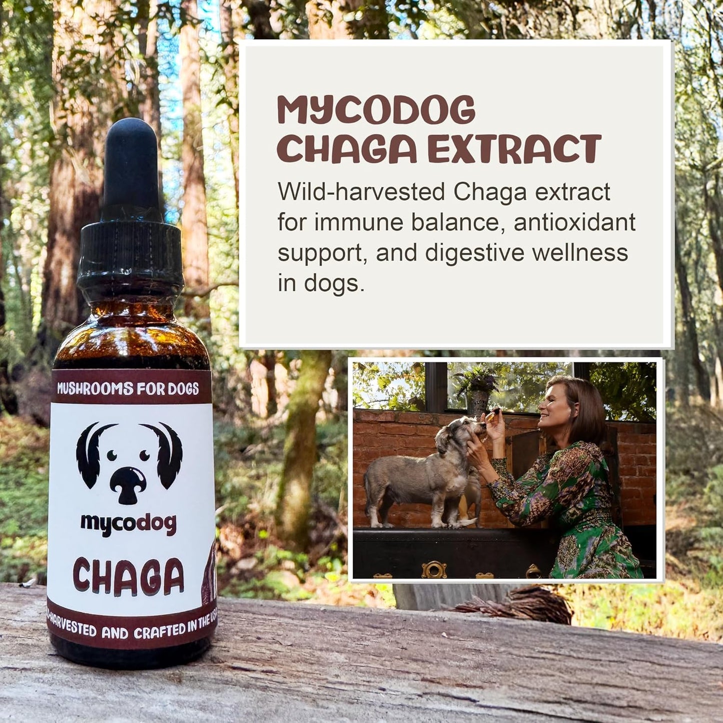 Chaga Tincture: Dual Extracted Mushroom Dog Supplements - Defenses, Cellular Wellness, Skin, Coat, Liver, and Antioxidant Support - Wild-Harvested, Bioavailable, & Easy to Serve
