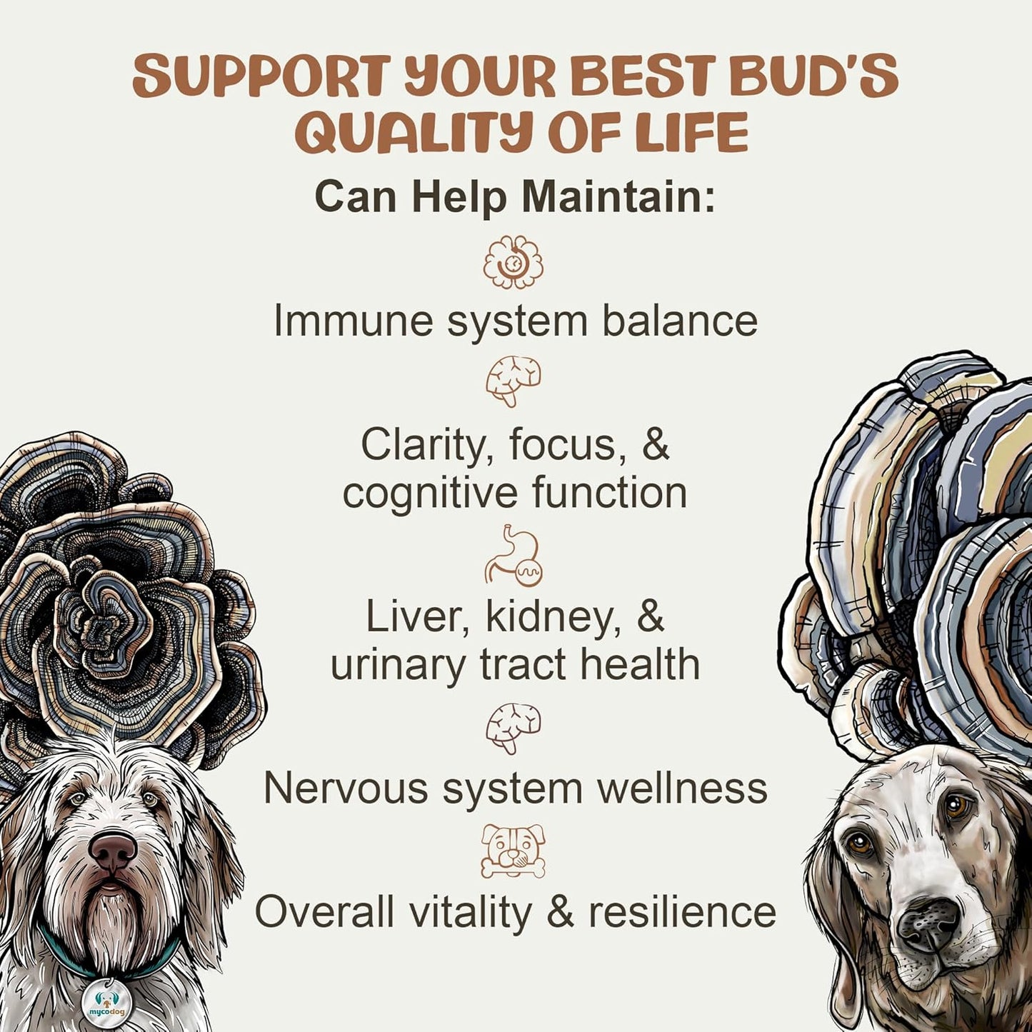 Turkey Tail Mushroom for Dogs: Dual-Extracted Dog Immune Support Tincture for Defenses, Liver & Kidney, Cognition, Cardio, Detox, & Reproduction - Strictly Extracted from Fruiting Bodies