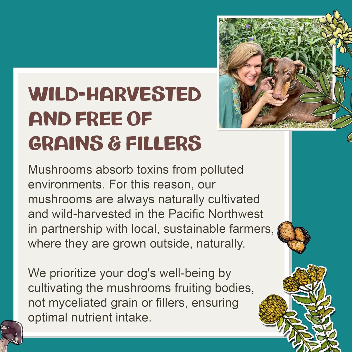 Chaga Tincture: Dual Extracted Mushroom Dog Supplements - Defenses, Cellular Wellness, Skin, Coat, Liver, and Antioxidant Support - Wild-Harvested, Bioavailable, & Easy to Serve