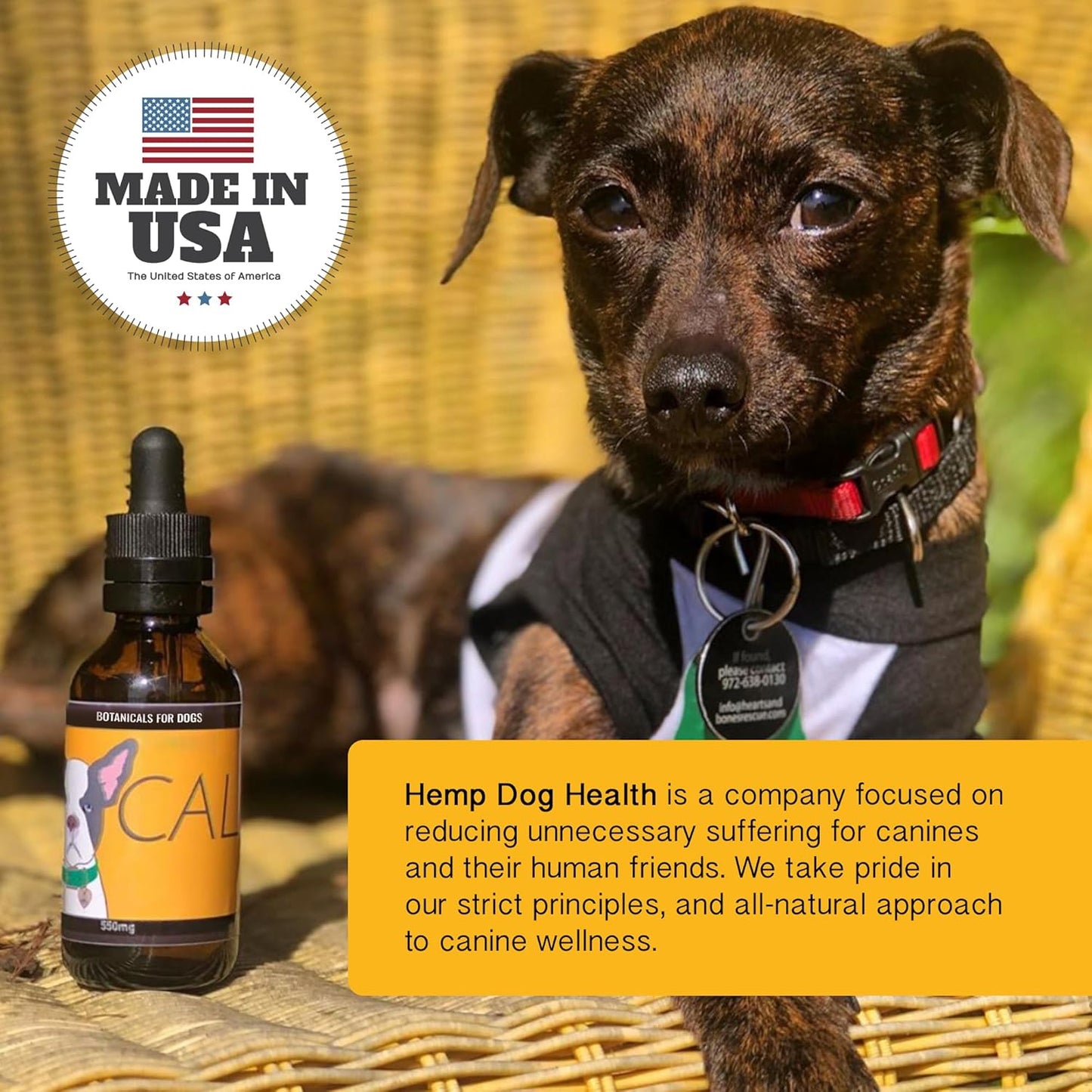 Calm - Hemp Oil for Dogs - Balanced Mood & Behavior - Soothe Nervous, Jumpy, Overly-Reactive Canines - 100% Natural Calming Drops