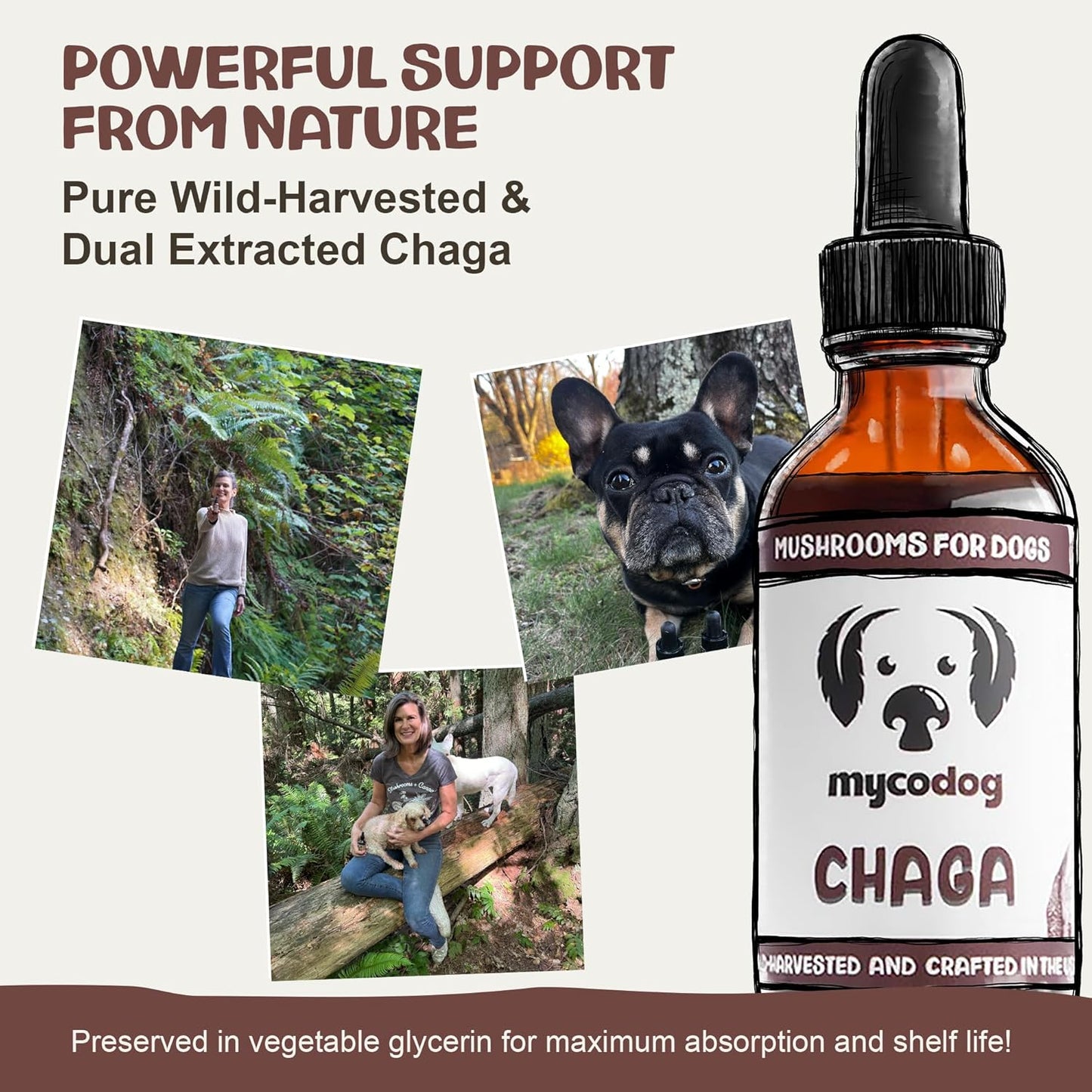 Chaga Tincture: Dual Extracted Mushroom Dog Supplements - Defenses, Cellular Wellness, Skin, Coat, Liver, and Antioxidant Support - Wild-Harvested, Bioavailable, & Easy to Serve