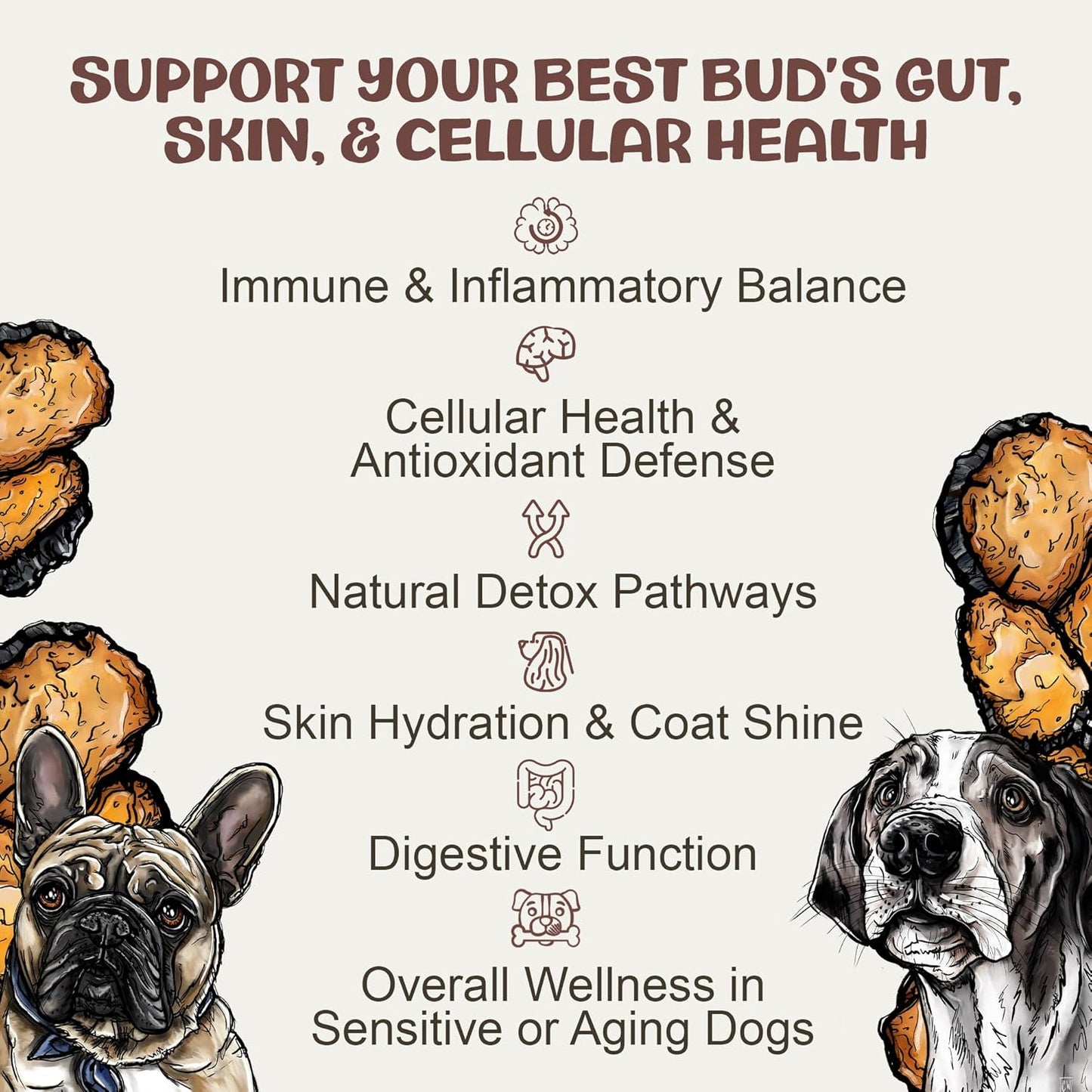 Chaga Tincture: Dual Extracted Mushroom Dog Supplements - Defenses, Cellular Wellness, Skin, Coat, Liver, and Antioxidant Support - Wild-Harvested, Bioavailable, & Easy to Serve