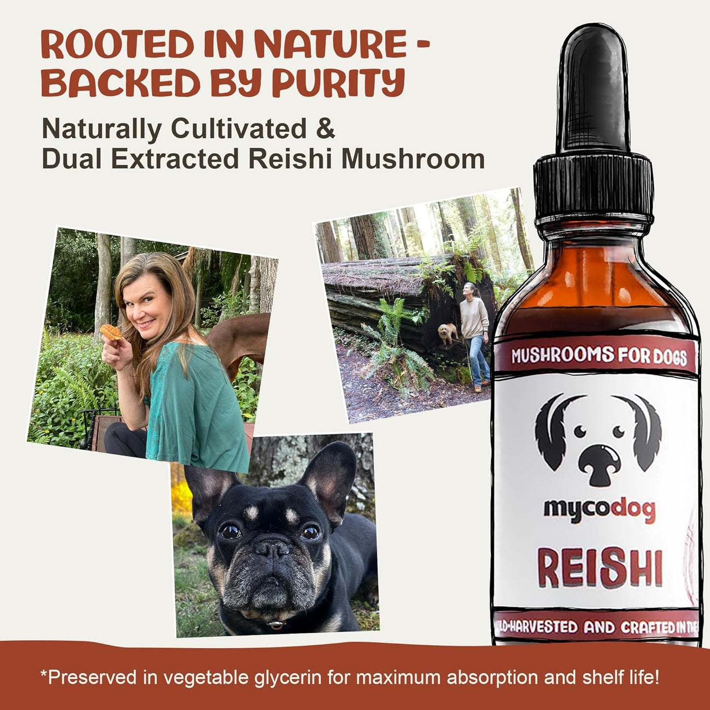 Reishi Tincture: Double-Extracted Reishi Mushroom for Dogs - Immune Defenses, Liver Detox, Longevity, Mood, & Well-Being - Calming Drops for Dogs Extracted Strictly from Fruiting Bodies