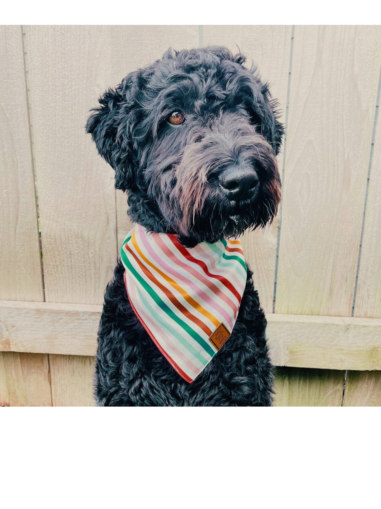 Multi Hearts Dog Bandana