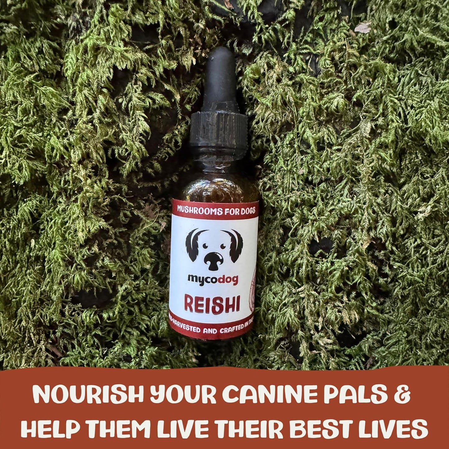 Reishi Tincture: Double-Extracted Reishi Mushroom for Dogs - Immune Defenses, Liver Detox, Longevity, Mood, & Well-Being - Calming Drops for Dogs Extracted Strictly from Fruiting Bodies