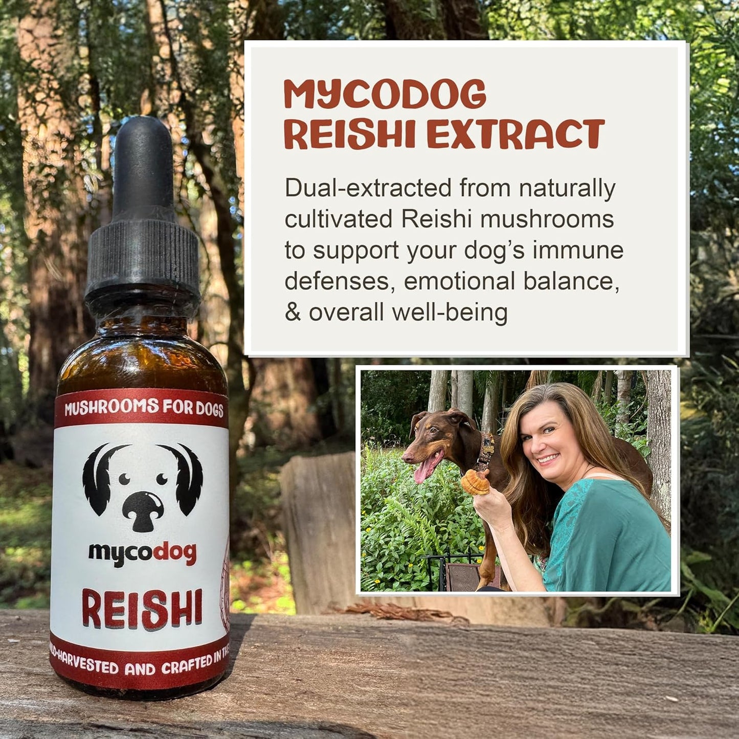 Reishi Tincture: Double-Extracted Reishi Mushroom for Dogs - Immune Defenses, Liver Detox, Longevity, Mood, & Well-Being - Calming Drops for Dogs Extracted Strictly from Fruiting Bodies