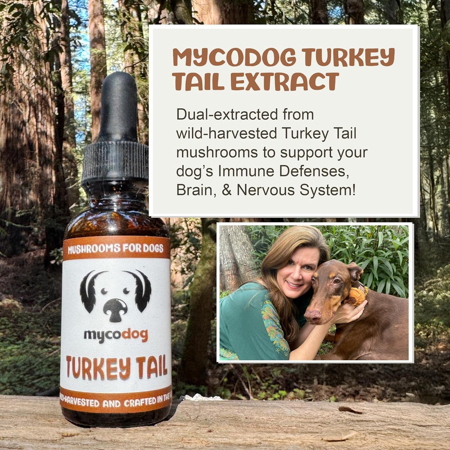 Turkey Tail Mushroom for Dogs: Dual-Extracted Dog Immune Support Tincture for Defenses, Liver & Kidney, Cognition, Cardio, Detox, & Reproduction - Strictly Extracted from Fruiting Bodies