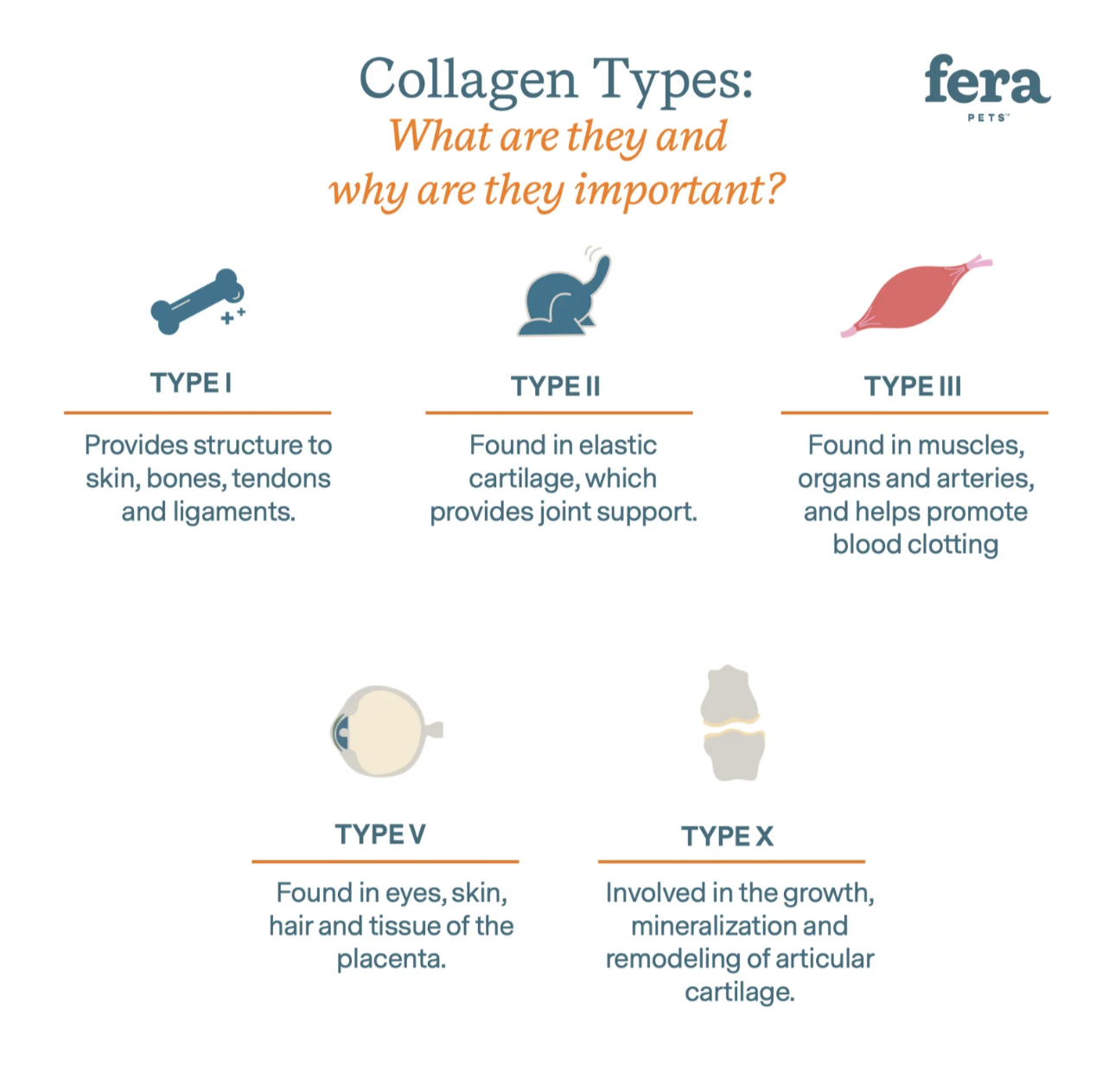 Collagen Plus