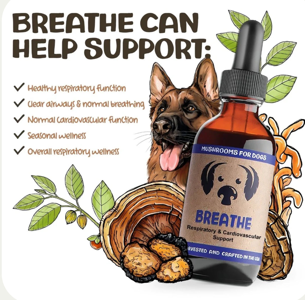 Breathe by Mycodog