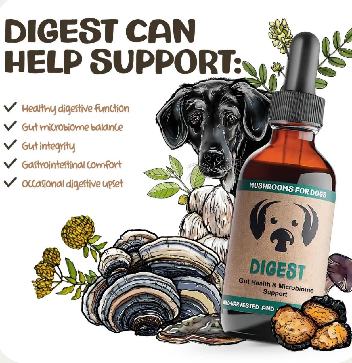 Digest by Mycodog