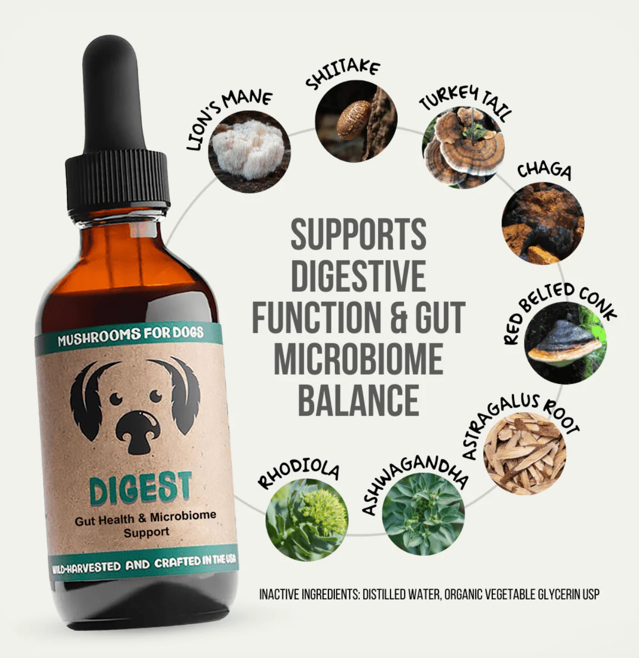Digest by Mycodog