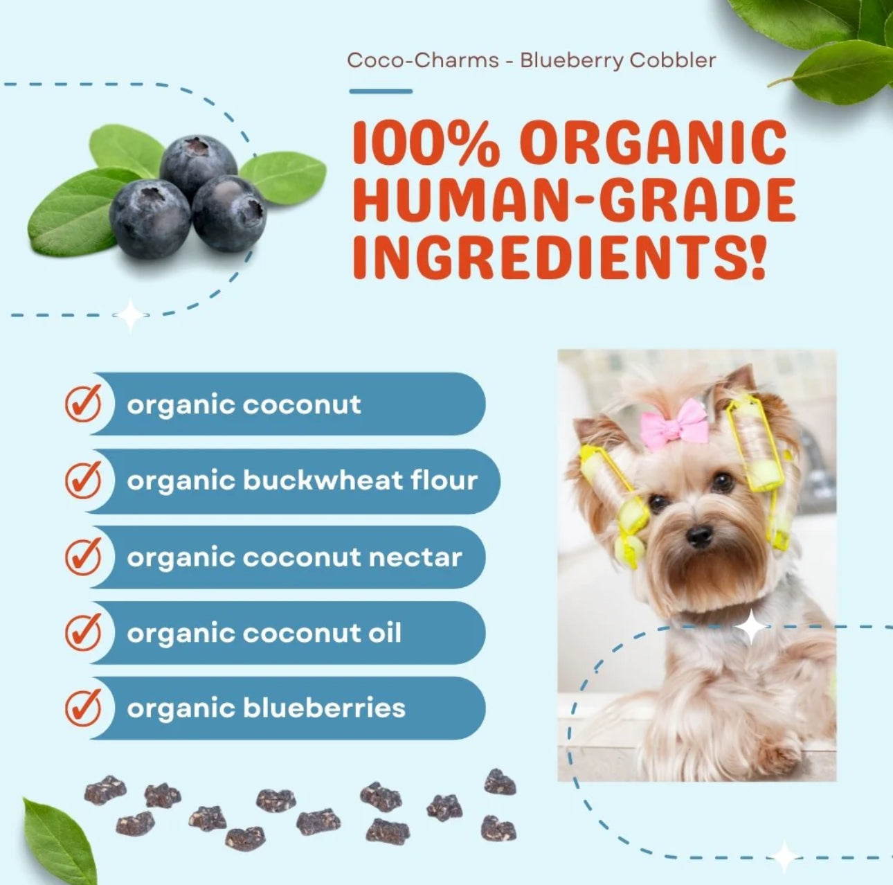 Coco-Charms Training Treats Blueberry Cobbler