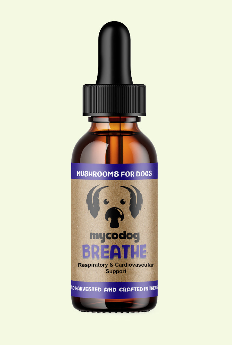 Breathe by Mycodog