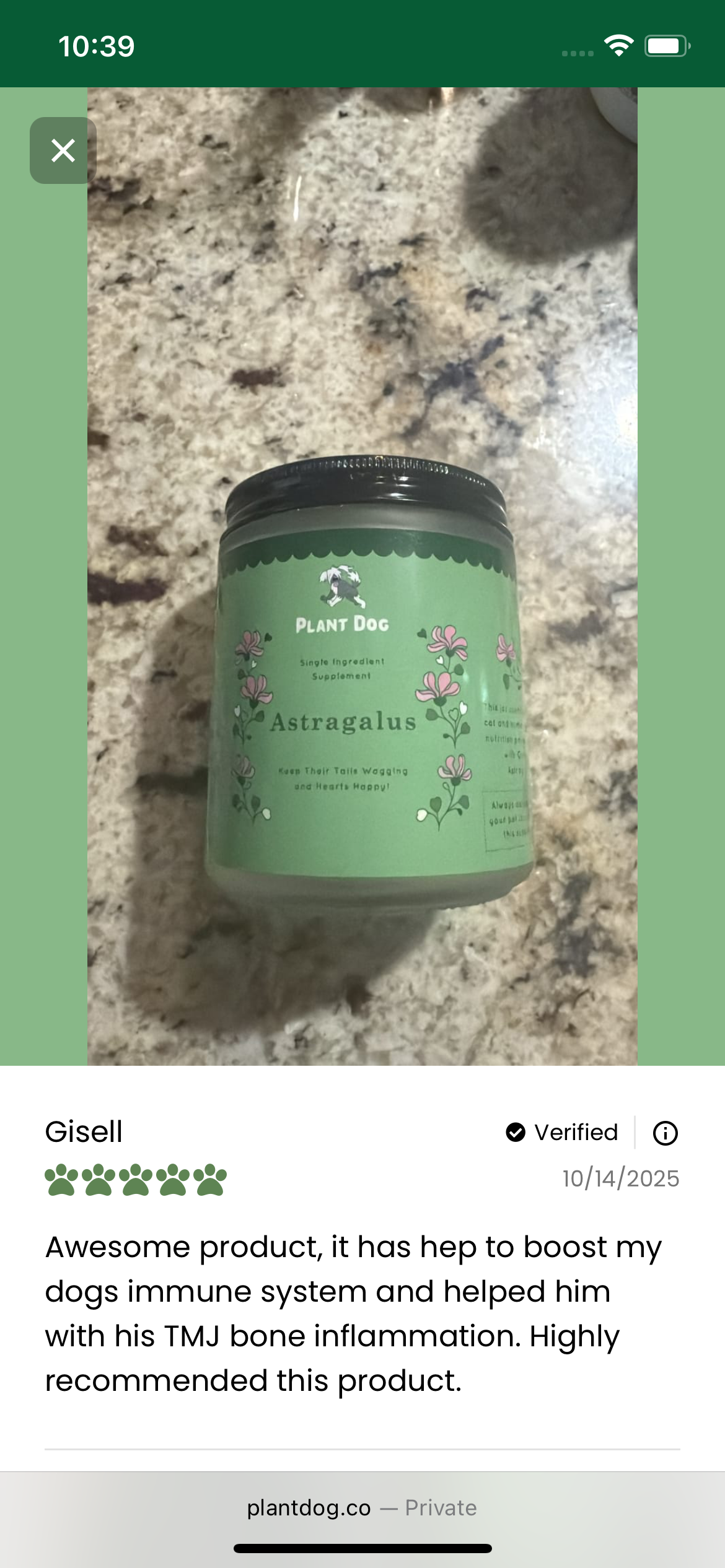 Astragalus Powder