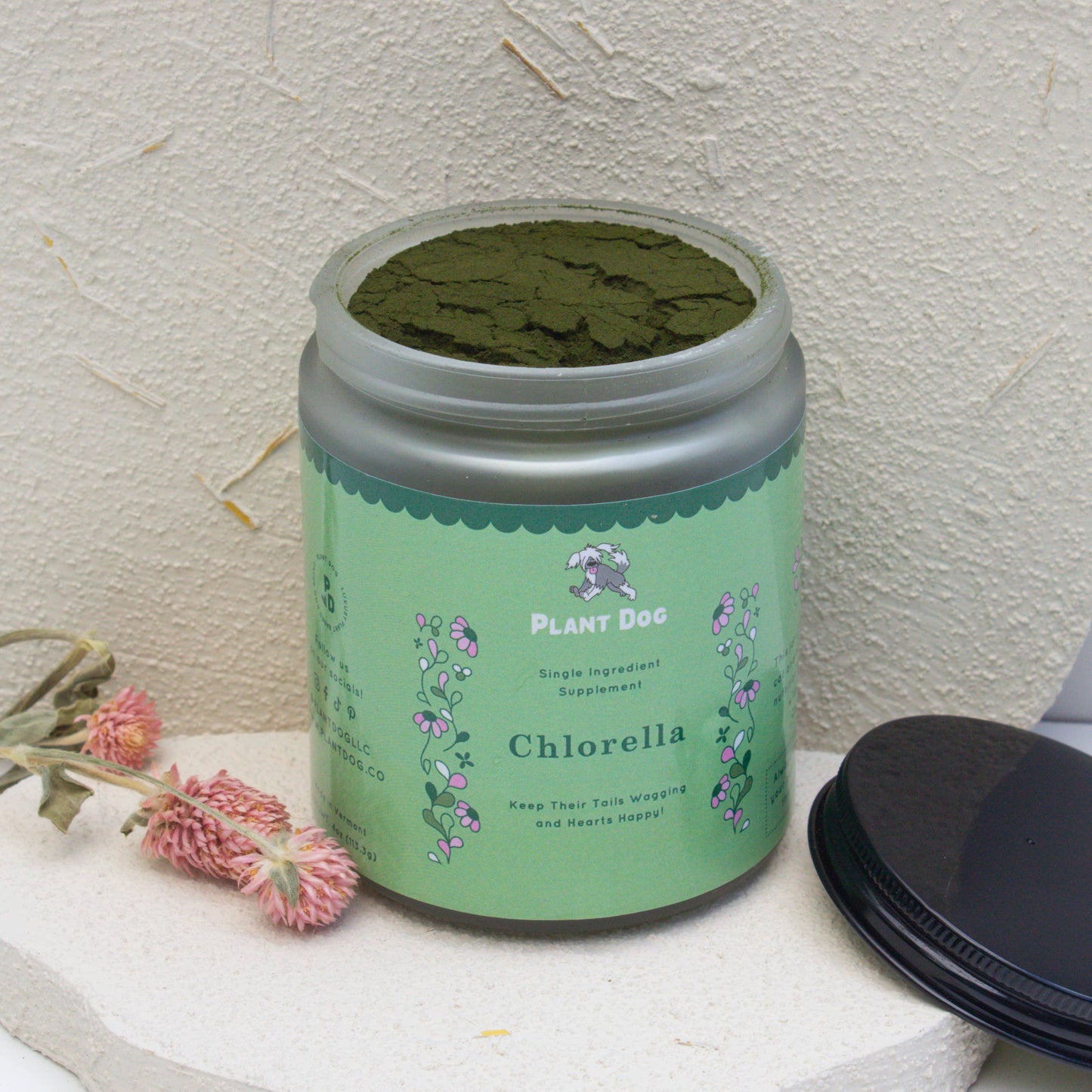 Chlorella Powder Supplement- Natural Immunity Boost and Anti
