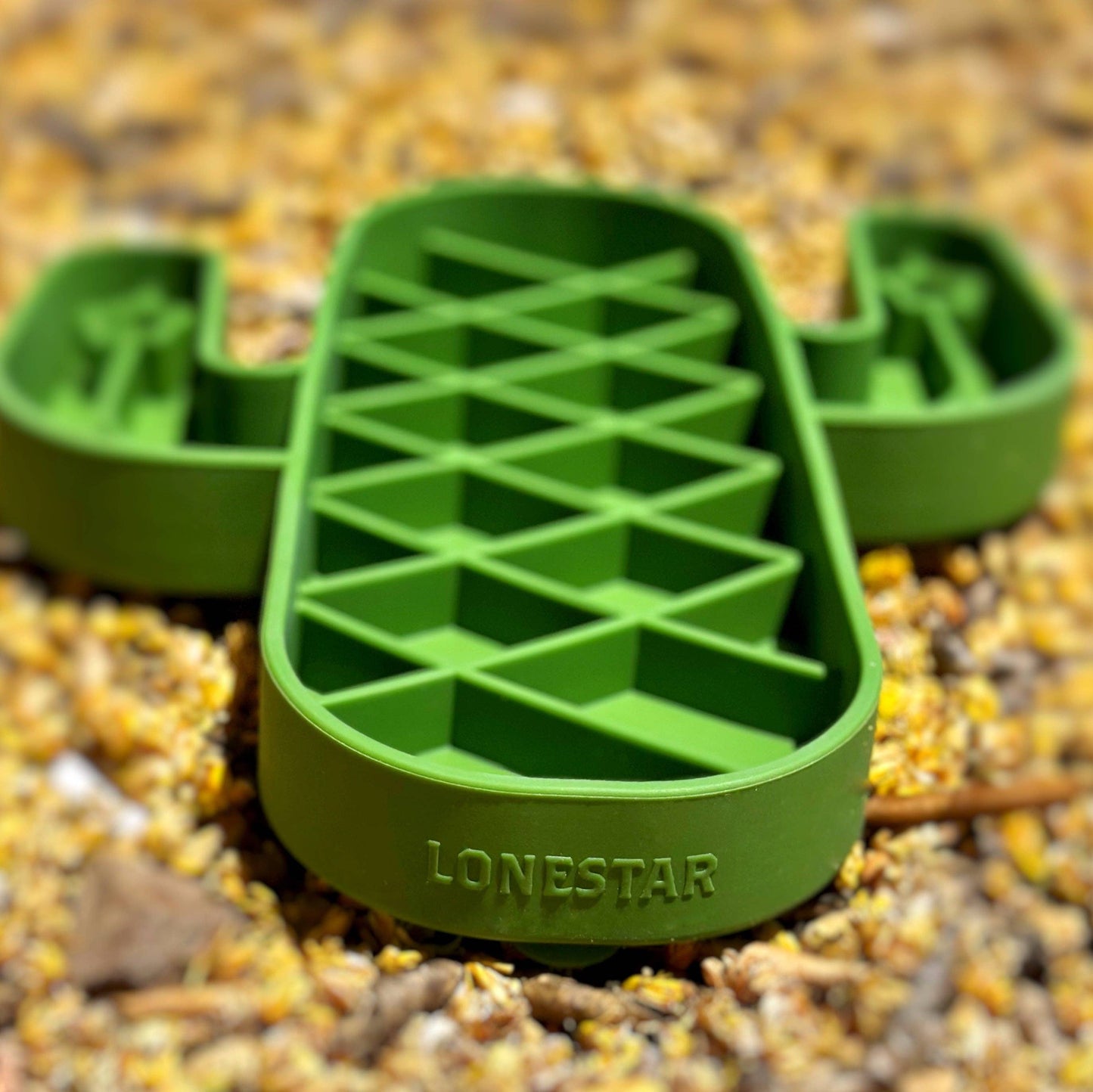 Cactus feeder charcuterie