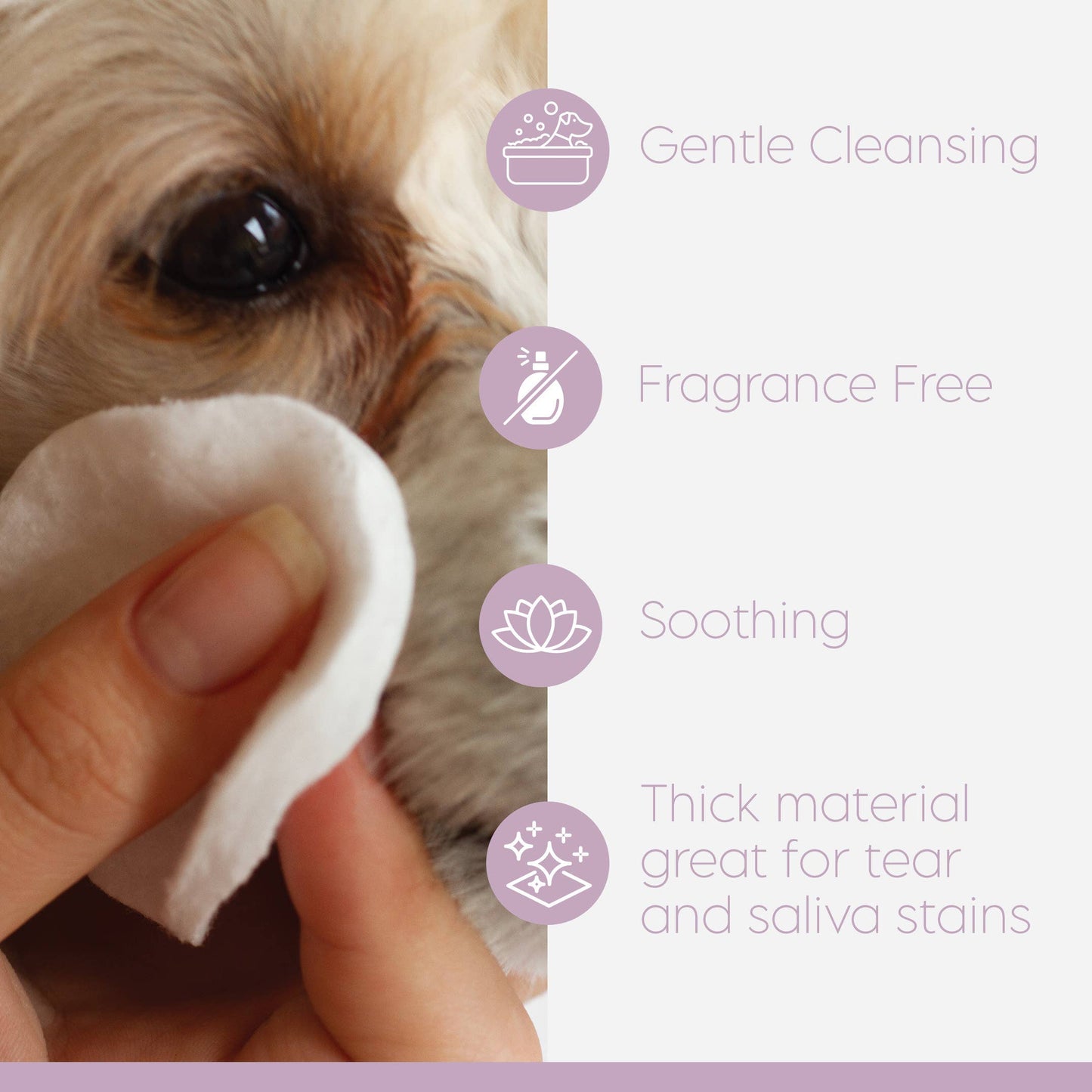 Lyxvara™ Ez-Derm™ Facial & Tear Stain Wipe