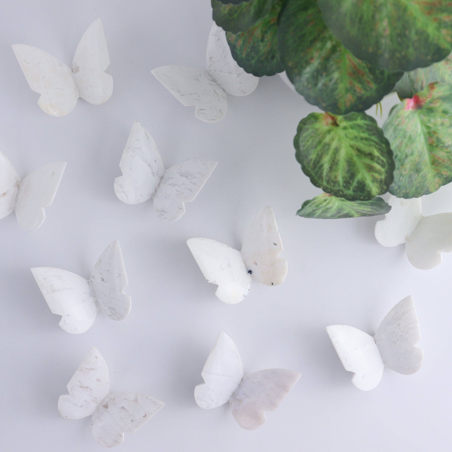 Plume Agate Butterflies