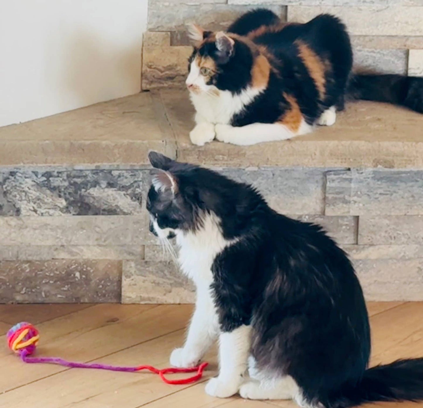 Ball O' Yarn Cat Toy