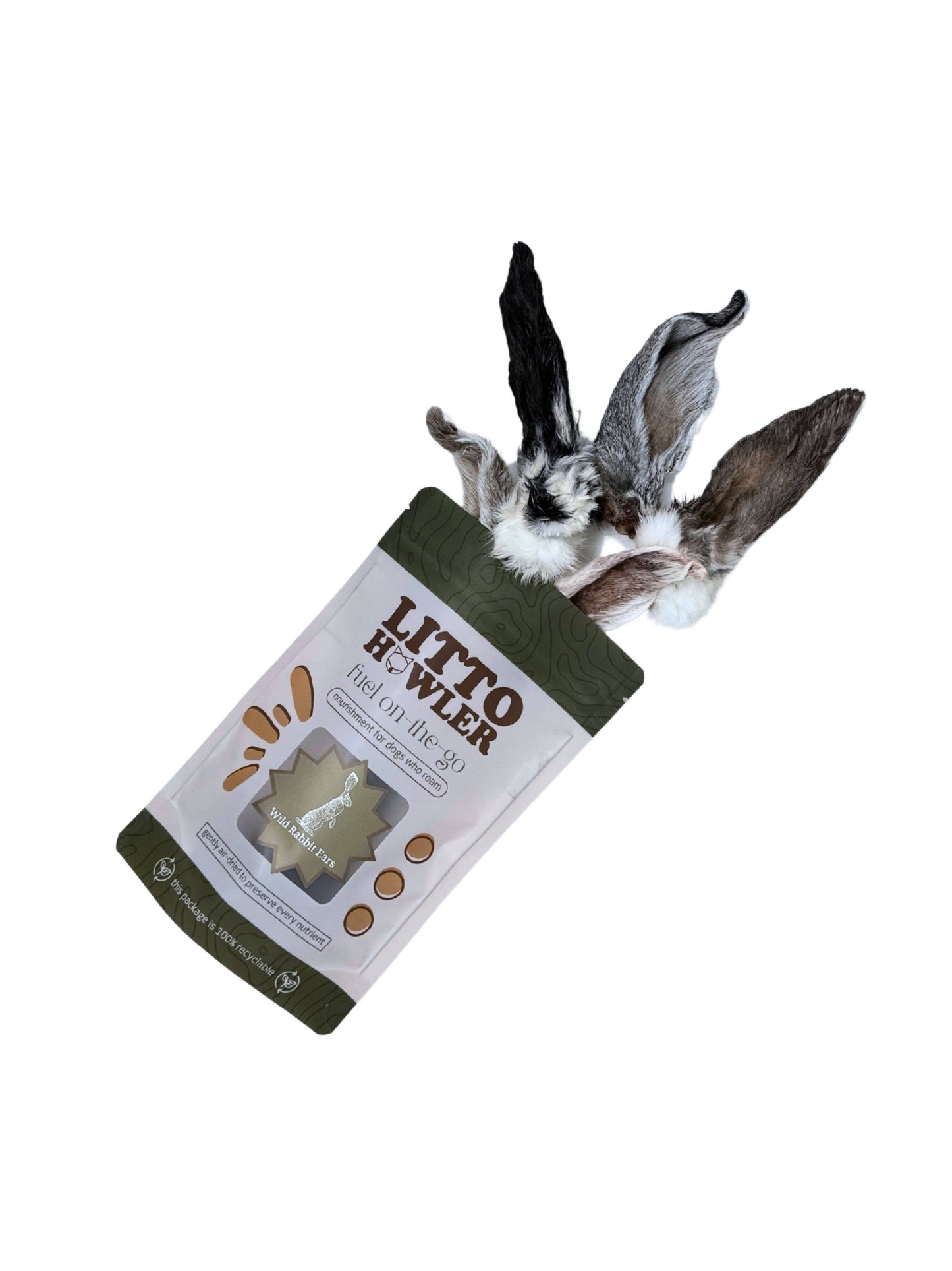 Wild Rabbit Ears | 6 Count