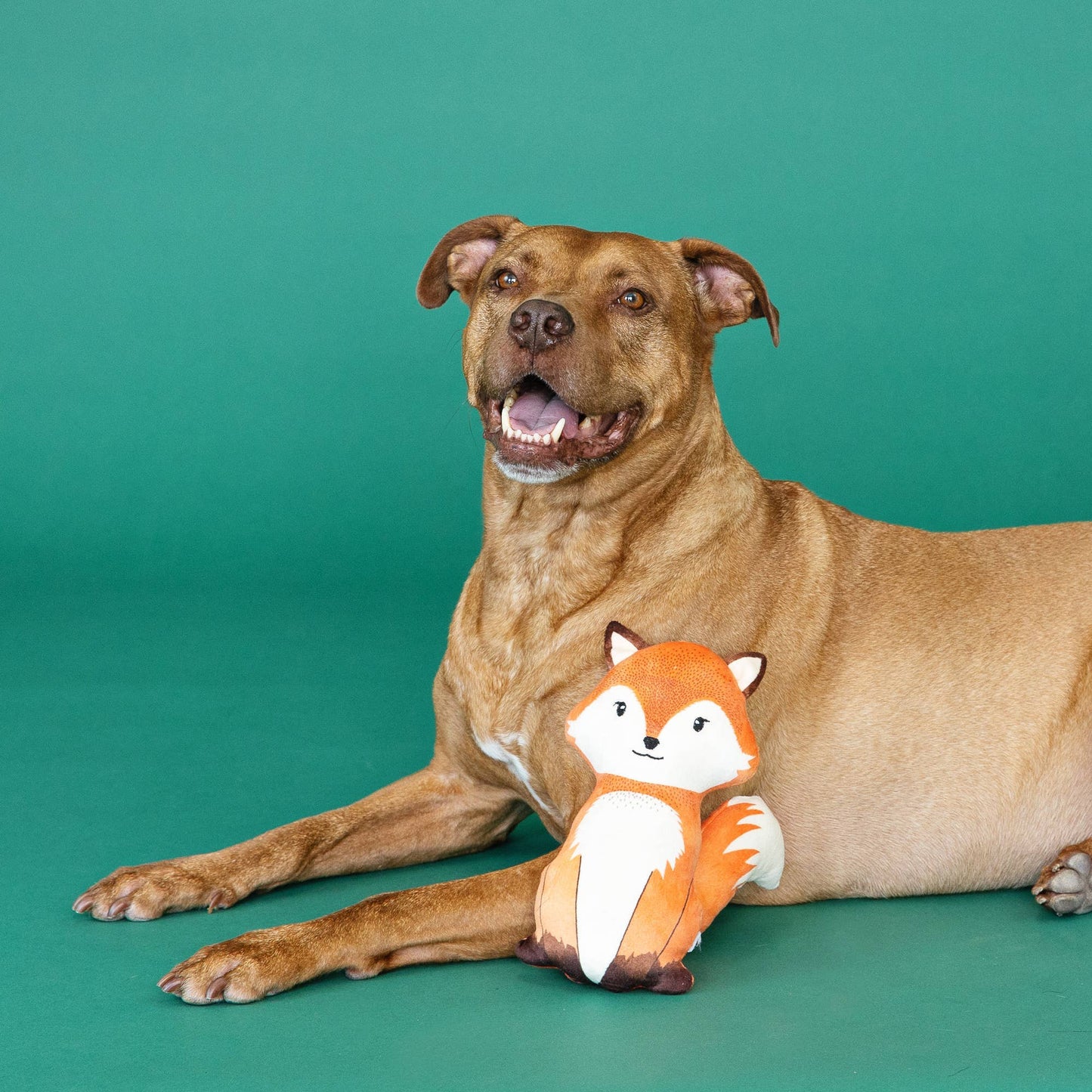 Farrah Fox Plush Dog Toy