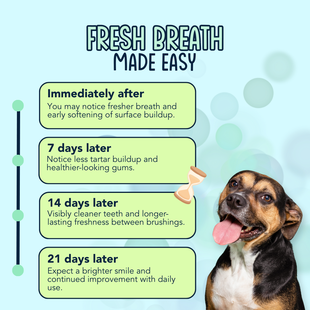 Dental Dust Dental Powder for Dogs - 60 Scoops