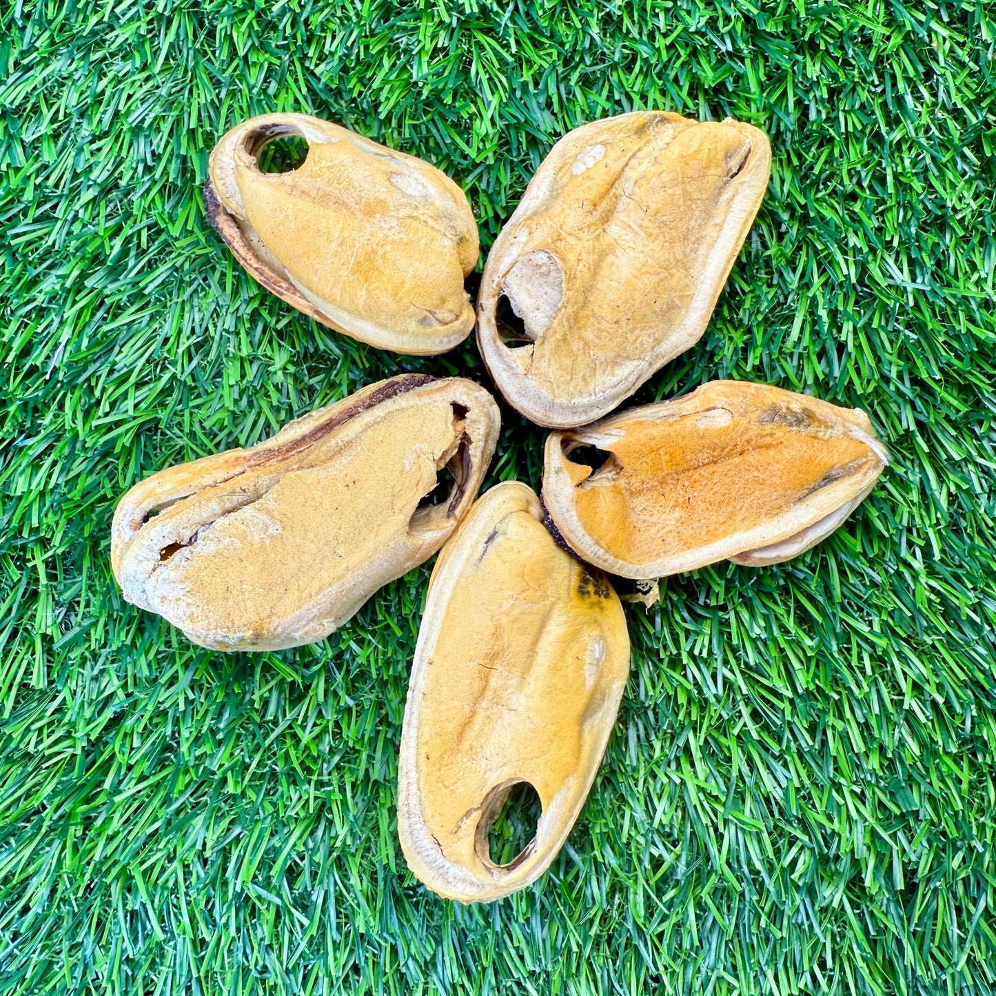 New Zealand Green-Lipped Mussel - 2oz Bag - Freeze-Dried