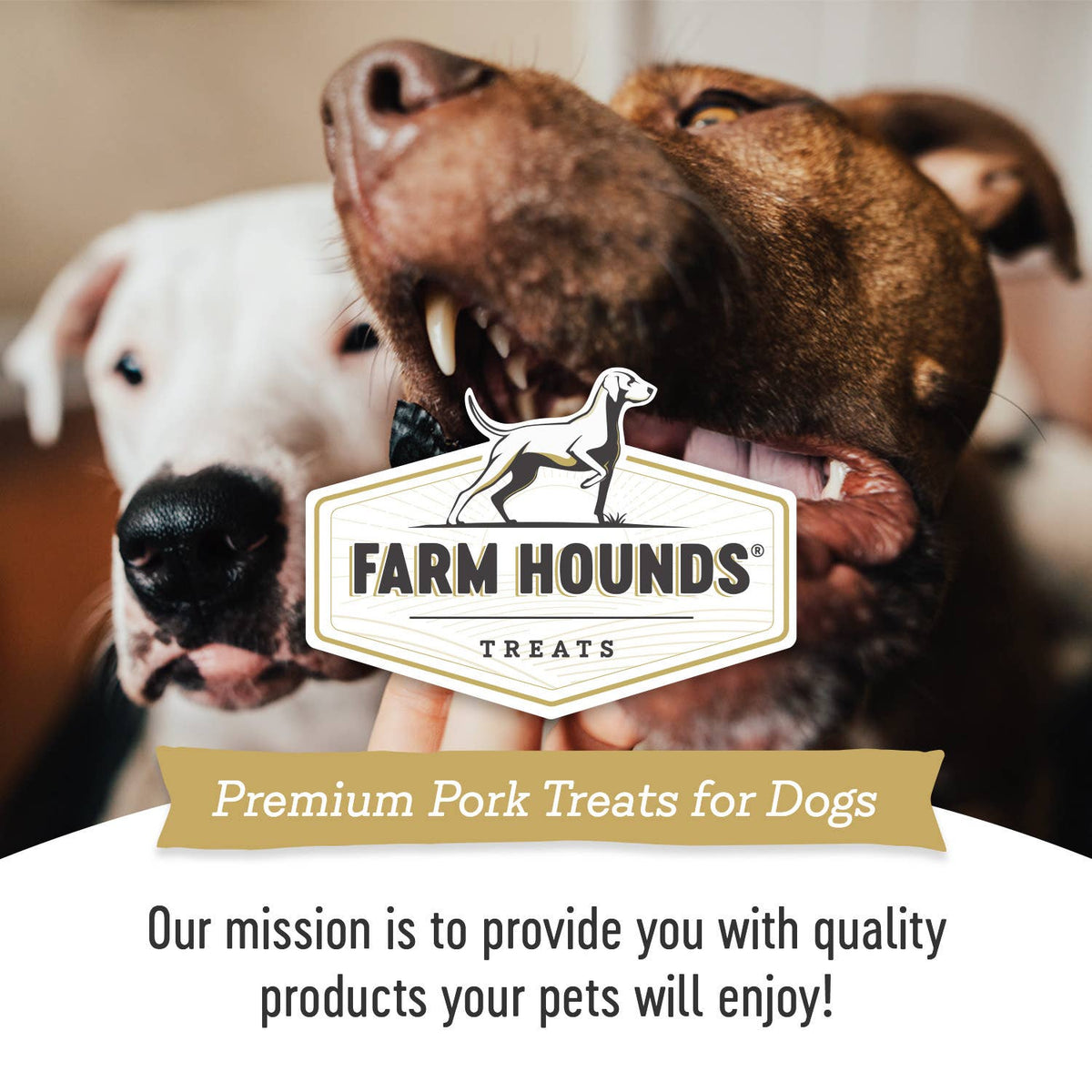 Pork Heart - All-Natural Dog Treats - 4oz
