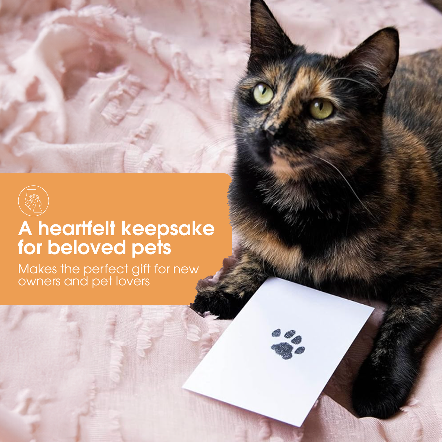 Pet Pawprint Clean-Touch Ink Pad, Black