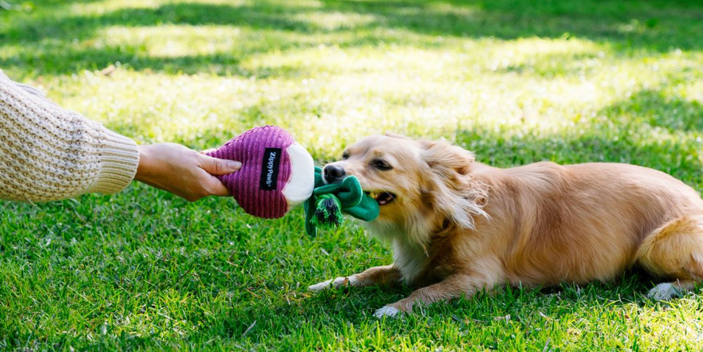 Crinkle Crops - Radish