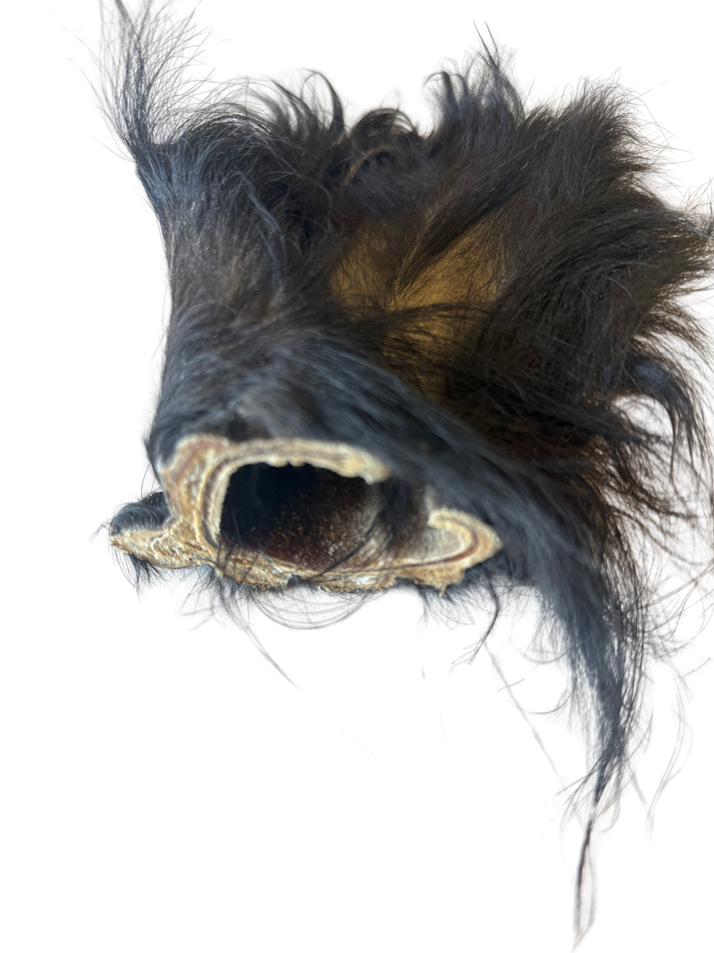 Grass-Fed Beef Ear (Hairy - JUMBO)